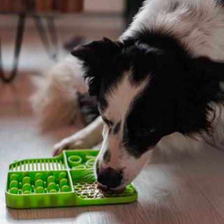 Eat Slow Live Longer Lick Mat Dimensions Rectangle