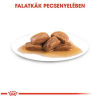 Royal Canin Maxi Adult - Nedves táp nagytestű felnőtt kutya részére #3