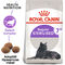 Royal Canin Sterilised 7+ | Ivartalanított idősödő macska száraz táp
