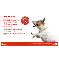 Bolfo bolha és kullancs elleni nyakörv #2