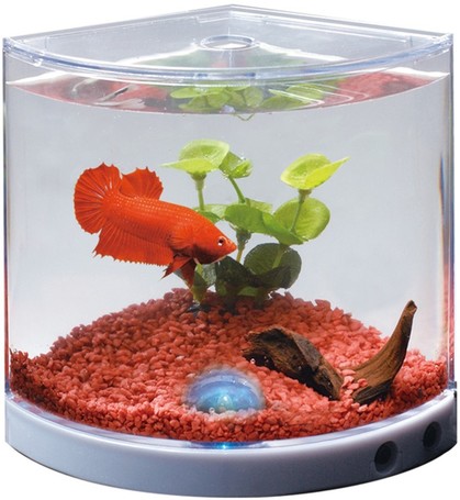 Happet Betta Home - Háromszög alakú mini sarok akvárium