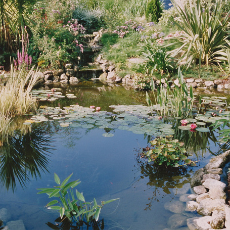 JBL FilterStart Pond baktérium inditó tavi szűrőhöz