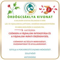 N.P.C.S. FortFlex - Csont, Porc, Ízület, Izom por kutyáknak #6