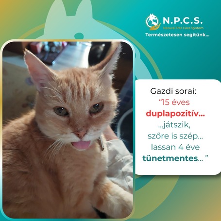 Burgimmune immunerősítő por