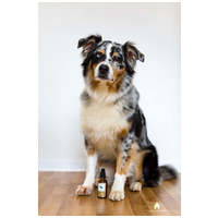 Lila Loves It bio ezüst spray házi kedvenceknek #3