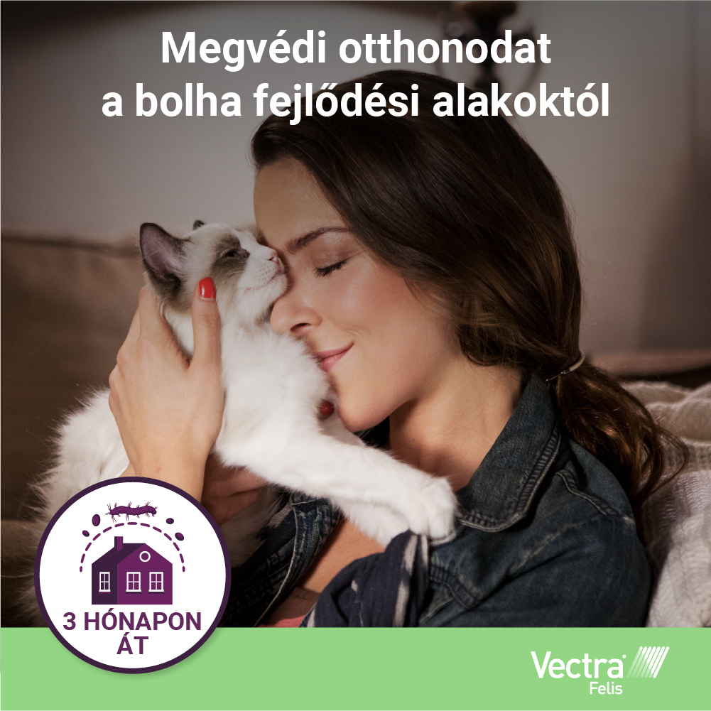 Vectra Felis bolhák elleni spot on macskáknak