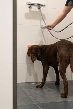 Eat Slow Live Longer - Fun & Relax Lick Mat