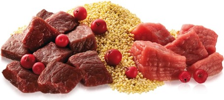 Belcando alutasak vadhússal, kölessel és vörös áfonyával