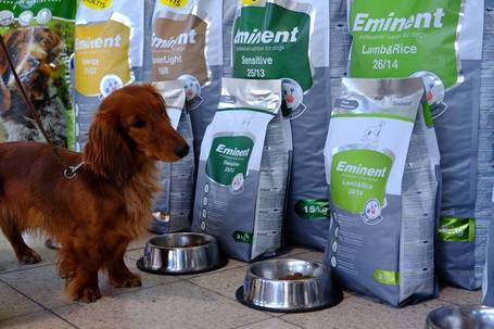 Eminent Light / Weight Control