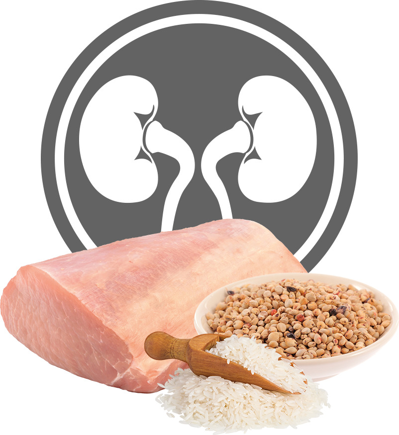 Exclusion Dog Renal Pork & Sorghum and Rice Medium/Large - zoom
