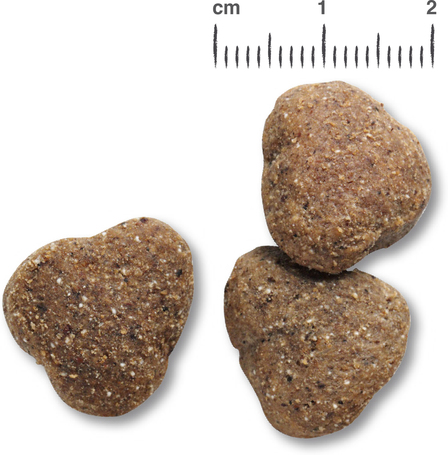 Belcando Adult Grain-Free Poultry | Gabonamentes szuperprémium kutyatáp