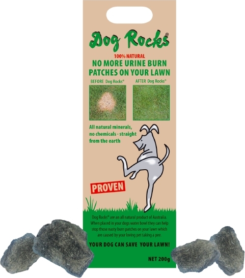 Dog Rocks - zoom