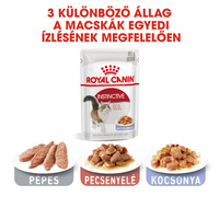 Royal Canin Instinctive Jelly - Felnőtt macska zselés nedves táp #8
