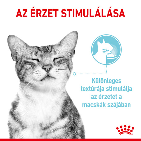 Royal Canin Sensory Feel Gravy - Szószos felnőtt macska nedves táp fokozott érzék hatással