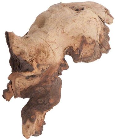 Mopani afrikai vasfa akváriumba