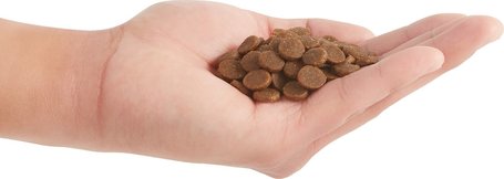 Acana Puppy & Junior