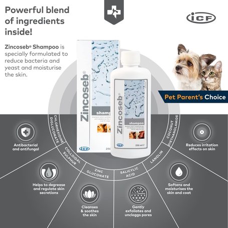 Zincoseb sampon viszkető és/vagy korpázó (seborrhoea) bőrre kutyáknak és macskáknak