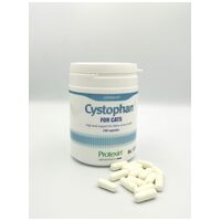 Protexin Cystophan kapszula húgyúti problémákra macskáknak #2