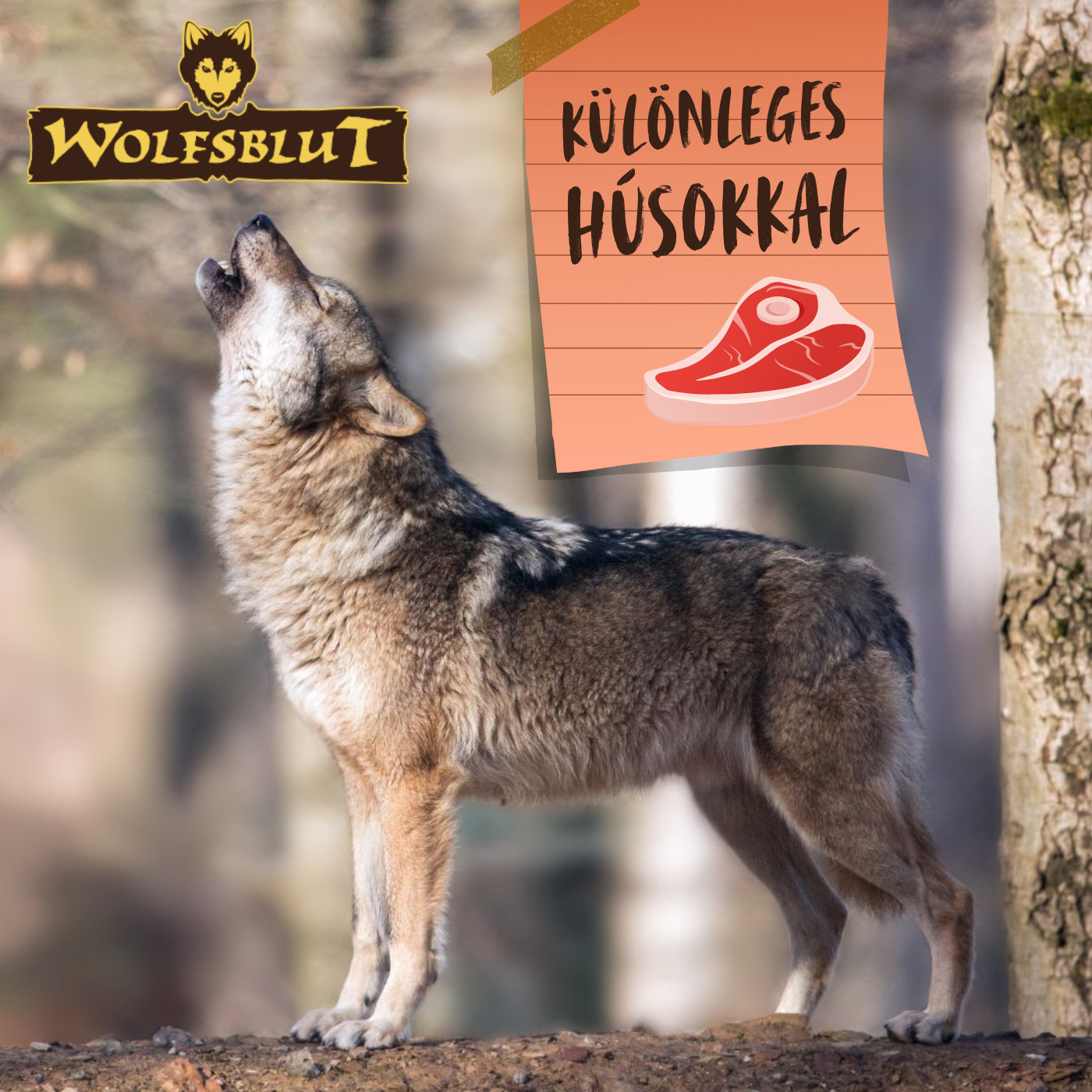 Wolfsblut