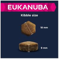 Eukanuba Adult Lamb & Rice Large | Szárazeledel bárányhússal és rizzsel nagytestű felnőtt kutyáknak | Szuperprémium minőség #6
