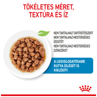 Royal Canin X-small Puppy - Nedves táp kistestű kölyök kutya részére #2