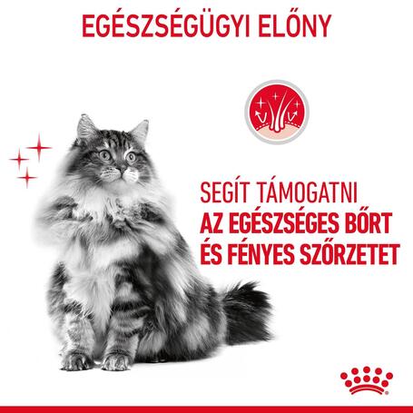 Royal Canin Hair & Skin Care - Száraz táp felnőtt macskák részére a szebb szőrzetért és az egészséges bőrért