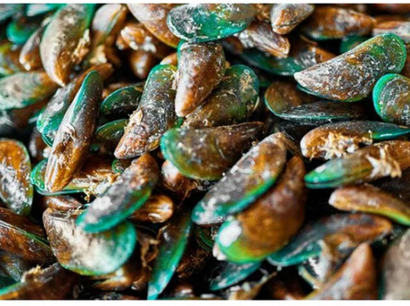 Cooka's Krill Green-Lipped Missel - Új-zélandi zöldkagylópor