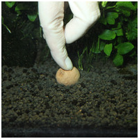 JBL Kugeln növénytáp golyók #7