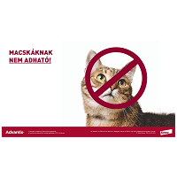 Advantix Spot On kutyáknak #13