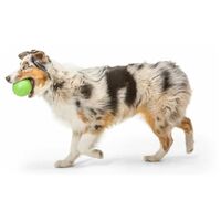 West Paw Rando - Üreges, össze-vissza pattogó labda #7