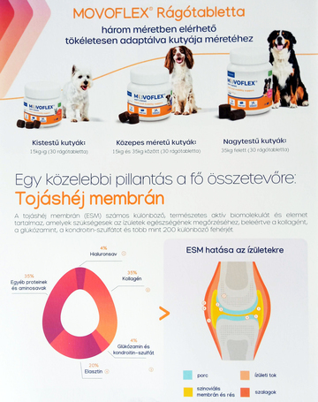 Movoflex ízületvédő rágótabletta