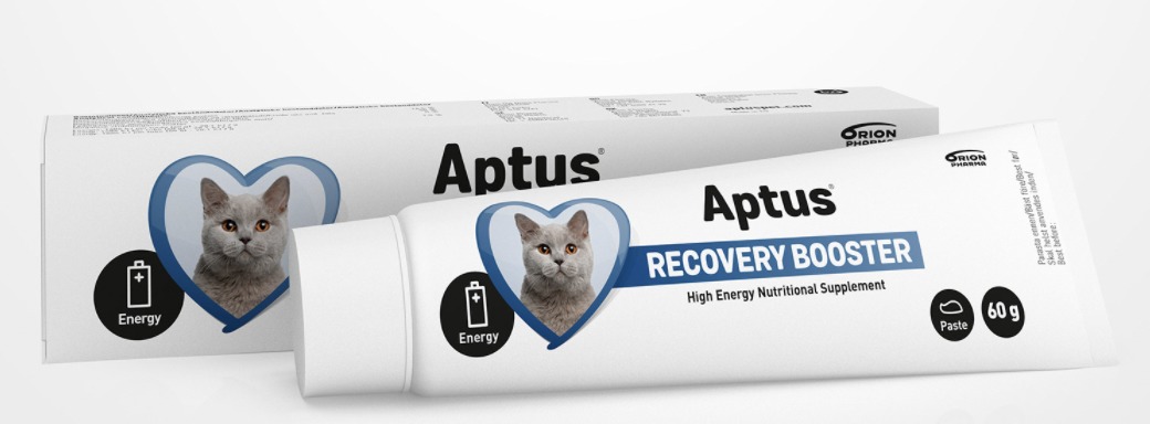 Aptus Recovery Booster Cat pastă pentru convalescență - zoom