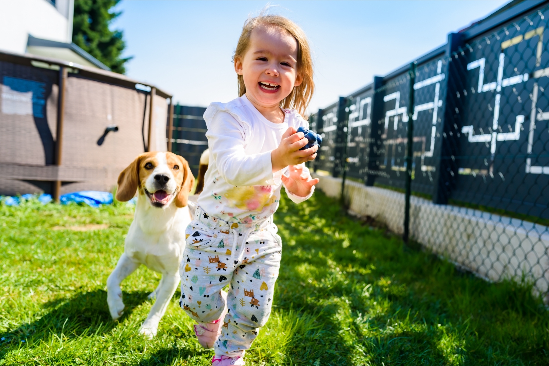 Egy kislány és egy beagle játszik a kertben