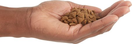 Acana Indoor Entrée