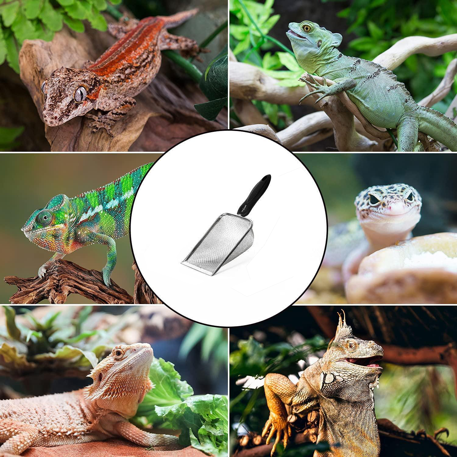 Repti-Zoo lopățică pt terariu - zoom