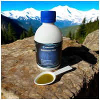 Nordcanin Multivitamin Pro+ #4