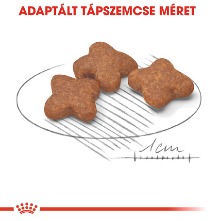 Royal Canin Mini Adult 8+ | Kistestű idősödő kutya száraz táp