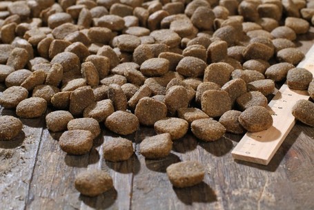 Bewi-Dog Lamb & Rice | Lenmaggal | Száraztáp érzékeny gyomrú kutyák részére