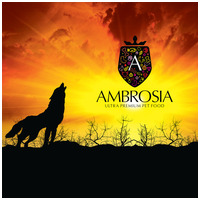 Ambrosia Dog Grain Free Senior, Light & Sterilized #10