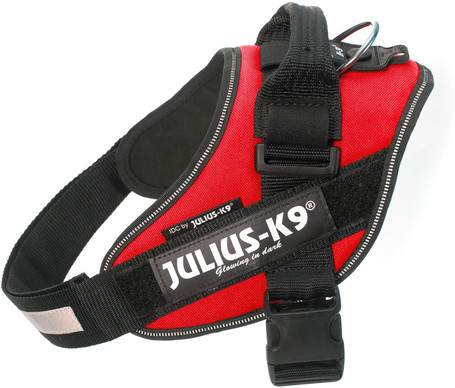 Julius-K9 IDC piros powerhám kutyáknak