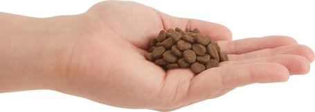 Orijen Regional Red Cat & Kitten