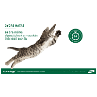 Advantage 80 spot on macskáknak és nyulaknak #2
