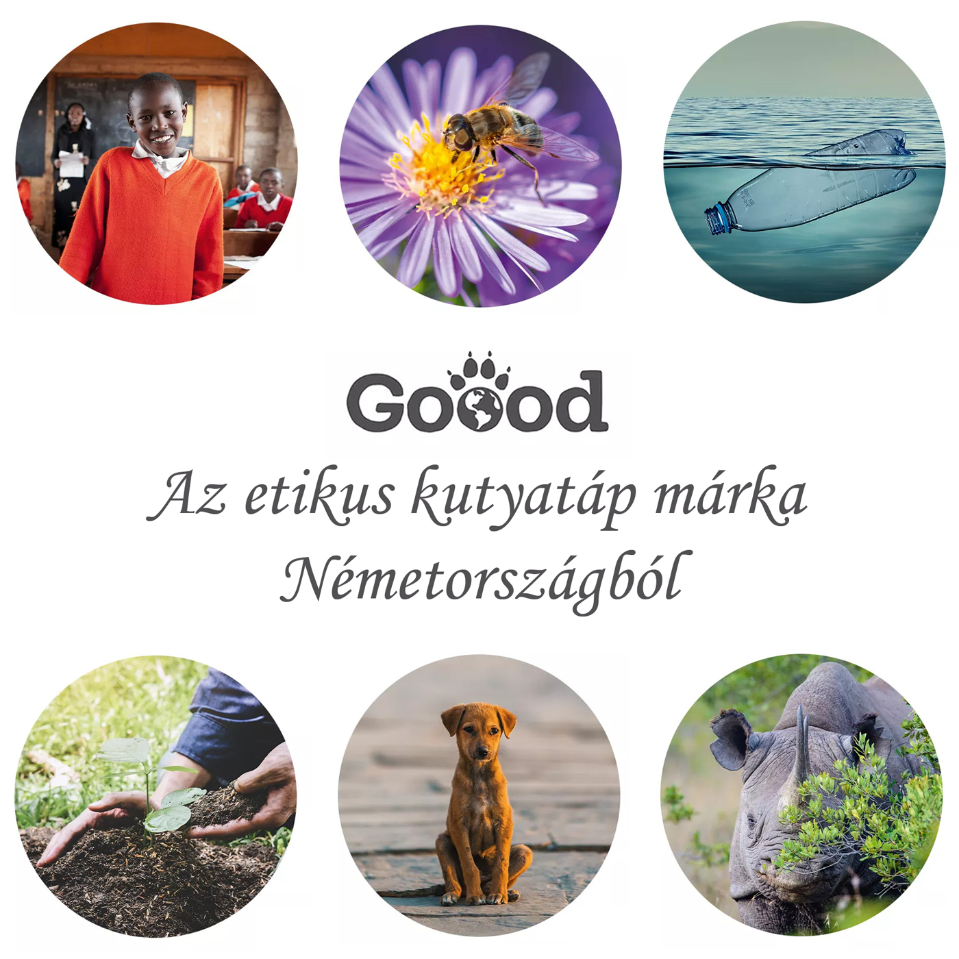 Goood, az etikus kutyatáp márka Németországból