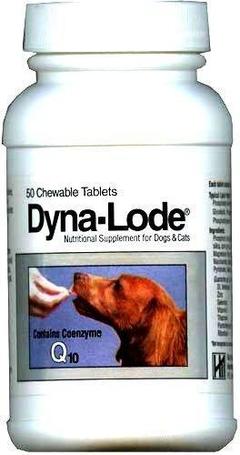 Dyna-Lode tabletta idősödő kutyák és macskák részére