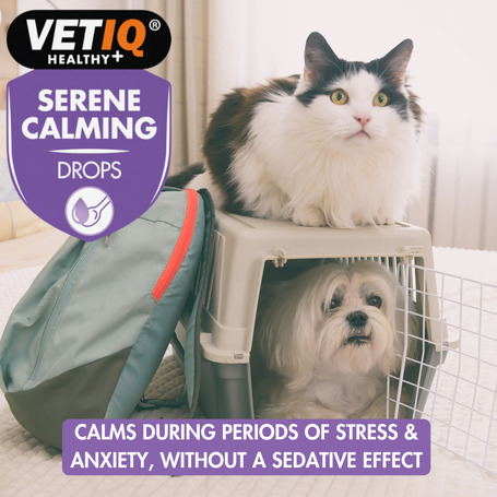 Vetiq Serene Calming Drops cseppek kutyáknak, macskáknak