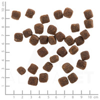 Wolfsblut Wild Duck Large Breed - Vadkacsa és burgonya #2