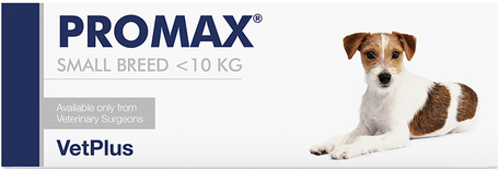 Promax bélflóra helyreállító probiotikus paszta kutyáknak