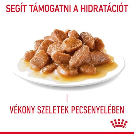 Royal Canin Urinary Care - Szószos nedves táp felnőtt macskák részére az alsó hugyúti problémák megelőzéséért