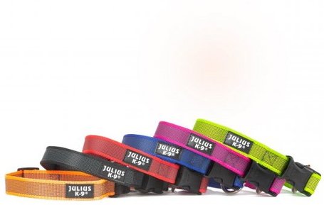 Julius-K9 Color & Gray nyakörv