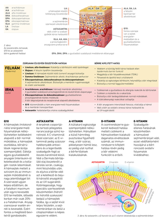Dermato bőrtápláló olaj kutyáknak és macskáknak